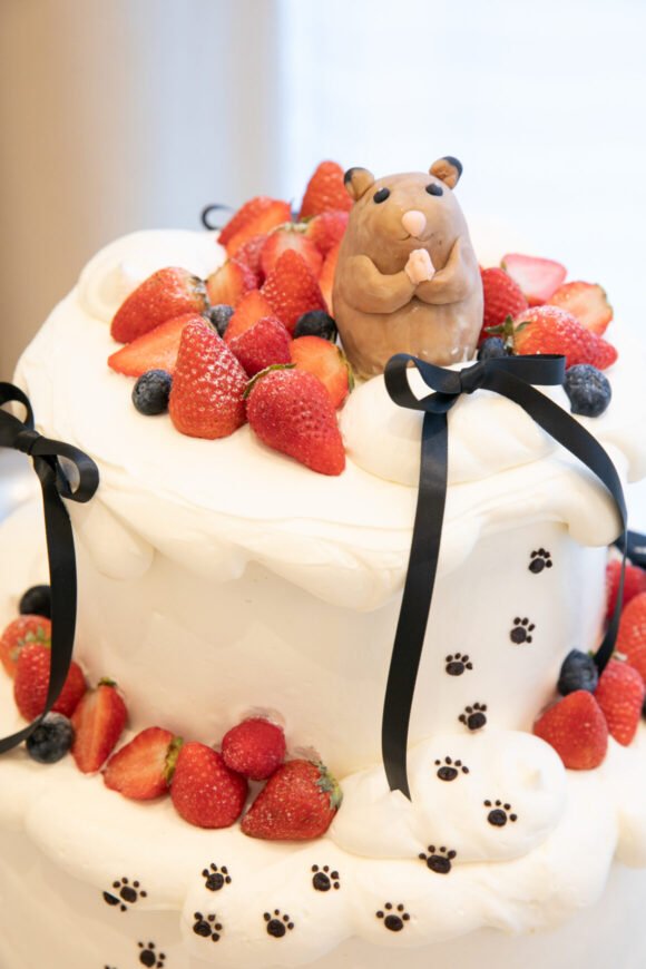 動物モチーフがかわいいいちごのウエディングケーキ